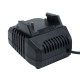 Зарядний пристрій Procraft Charger20/1