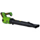 Акумуляторна повітродувка Procraft PB26 (без АКБ та зп)