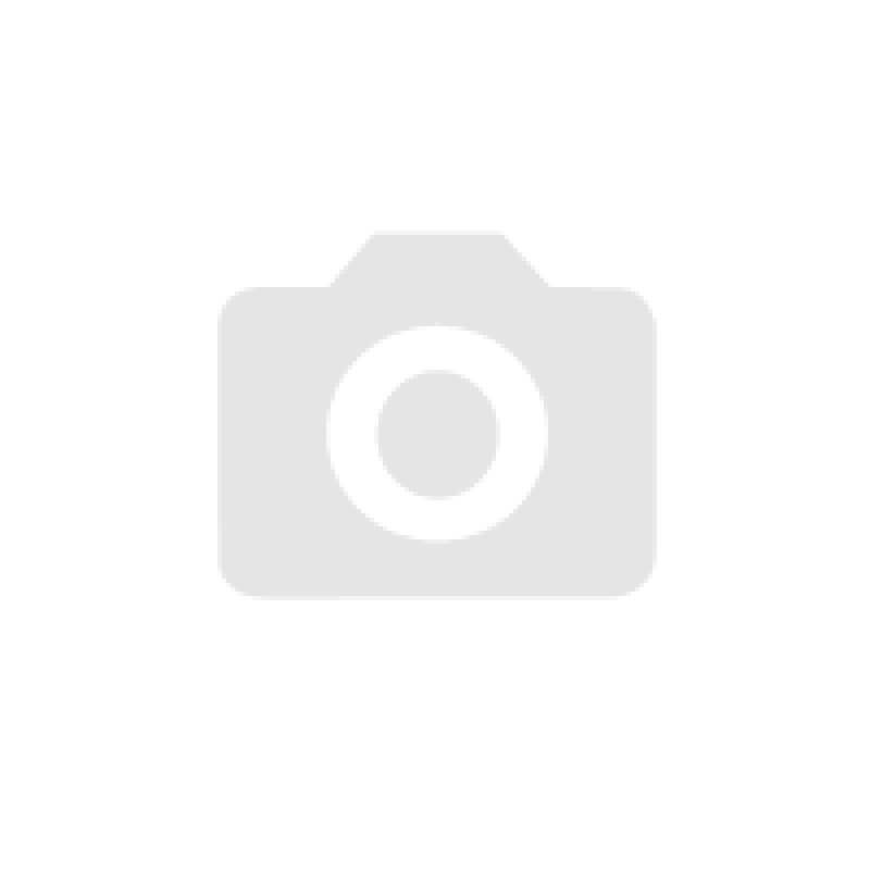 Генератор електроенергії CGM 3000SP
